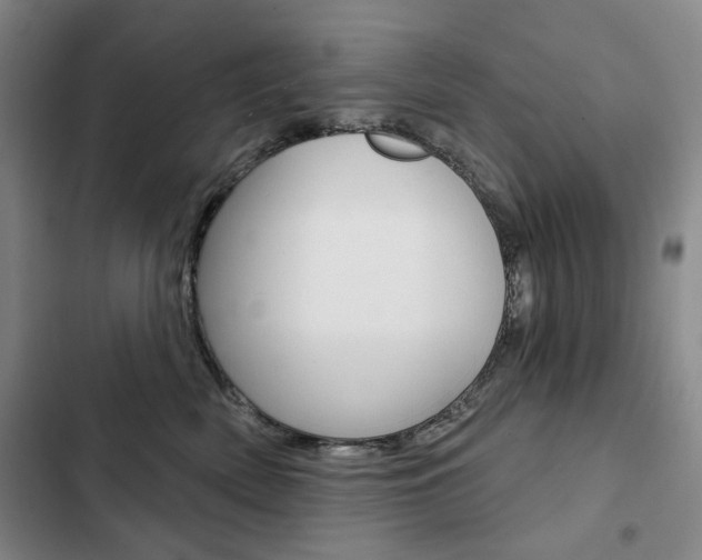 X0000103150522200808221131