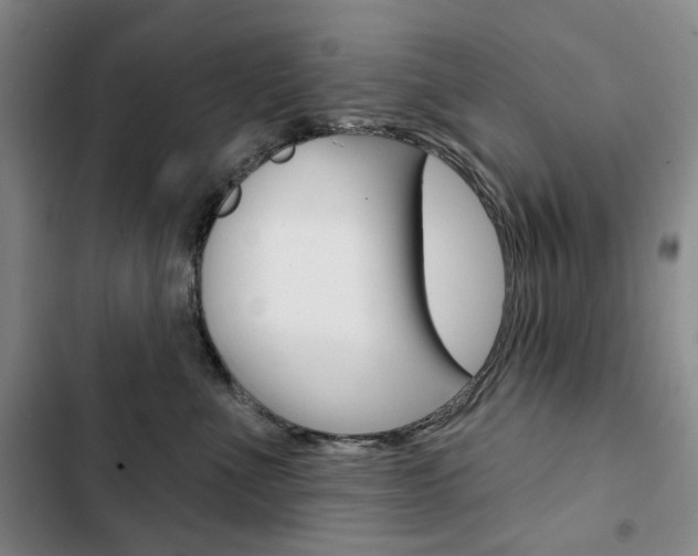 X0000103150523200808221131