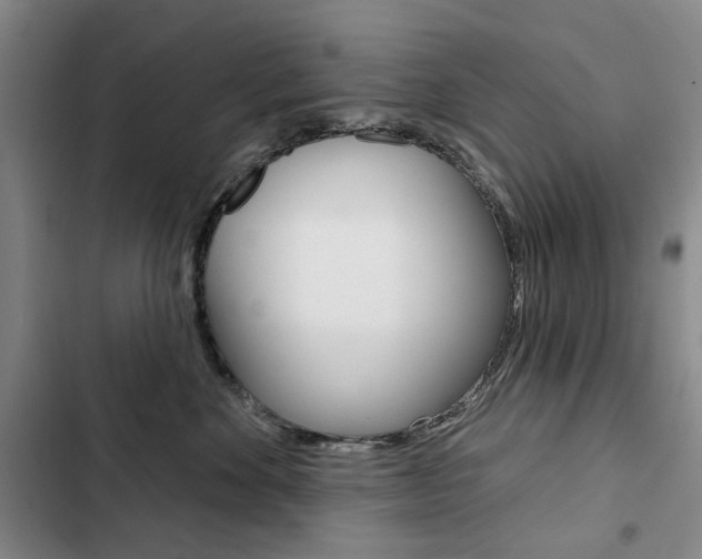 X0000103150524200808221131