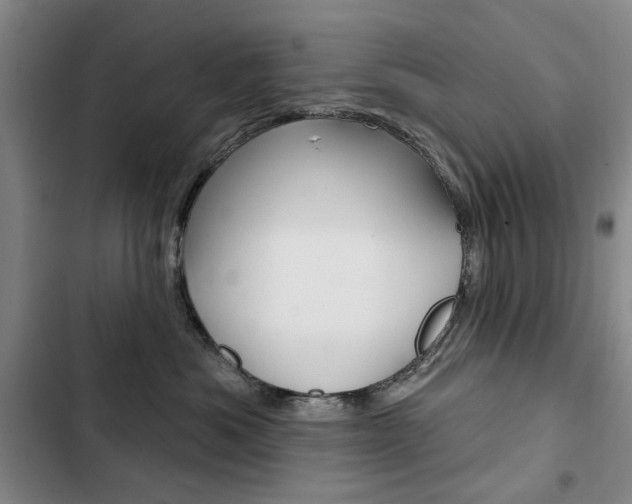 X0000103150525200808221131