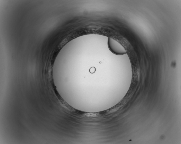 X0000103150526200808221131