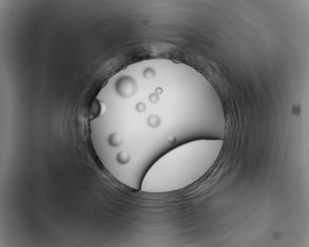 X0000103150527200808221131