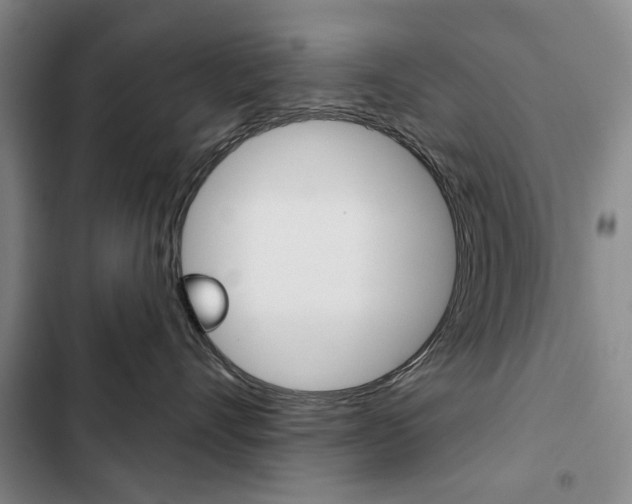 X0000103150528200808221131