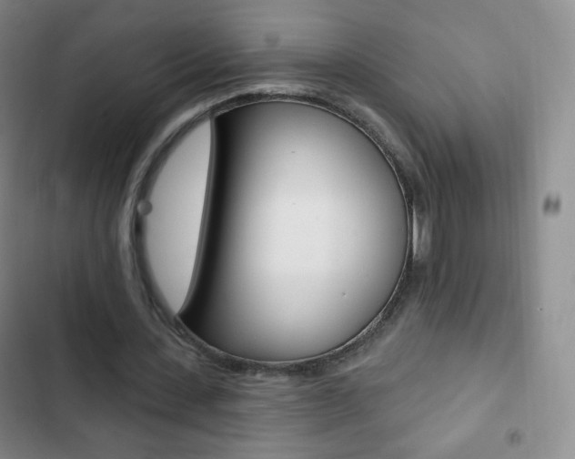 X0000103150531200808221131