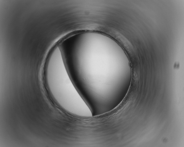 X0000103150532200808221131