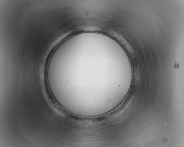 X0000103150533200808221131