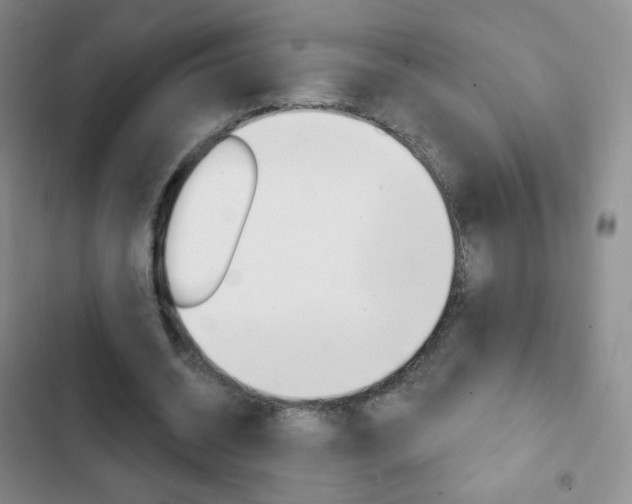 X0000103150534200808221131