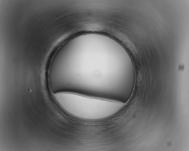 X0000103150535200808221131