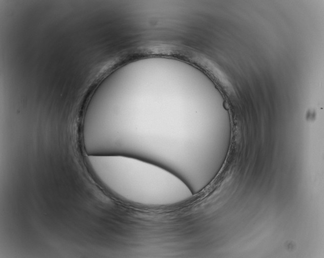X0000103150537200808221131