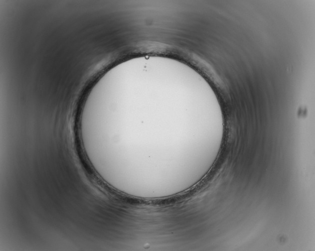 X0000103150538200808221131