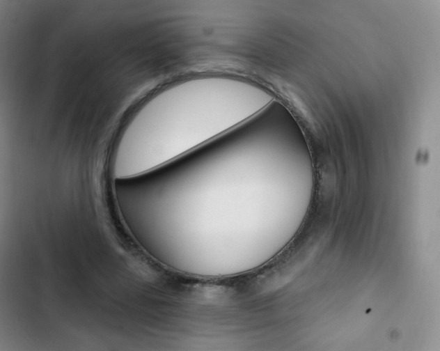 X0000103150539200808221131