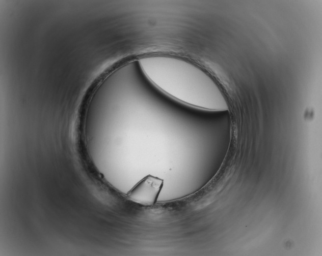X0000103150540200808221131