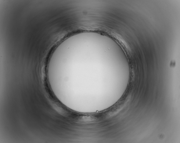 X0000103150541200808221131
