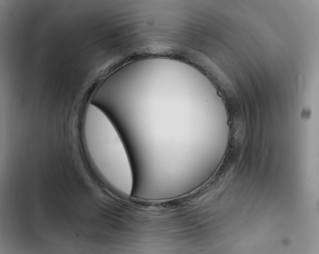 X0000103150542200808221131