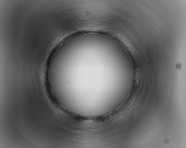 X0000103150544200808221131