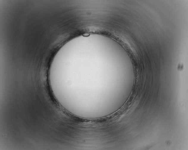 X0000103150545200808221131