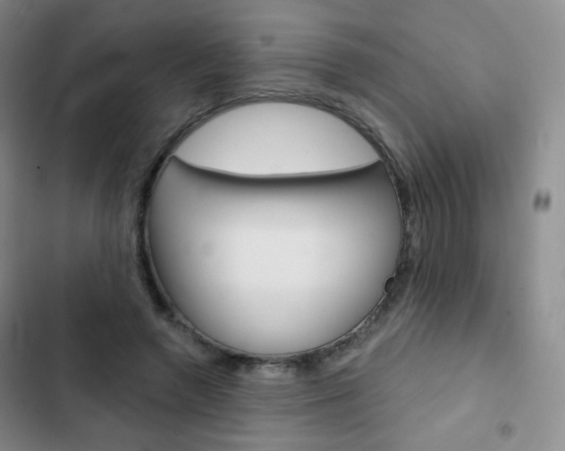 X0000103150546200808221131