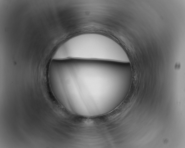 X0000103150547200808221131