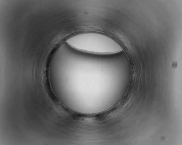 X0000103150548200808221131