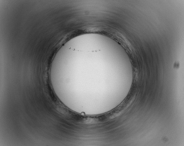 X0000103150549200808221131
