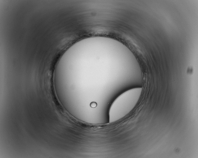 X0000103150550200808221131