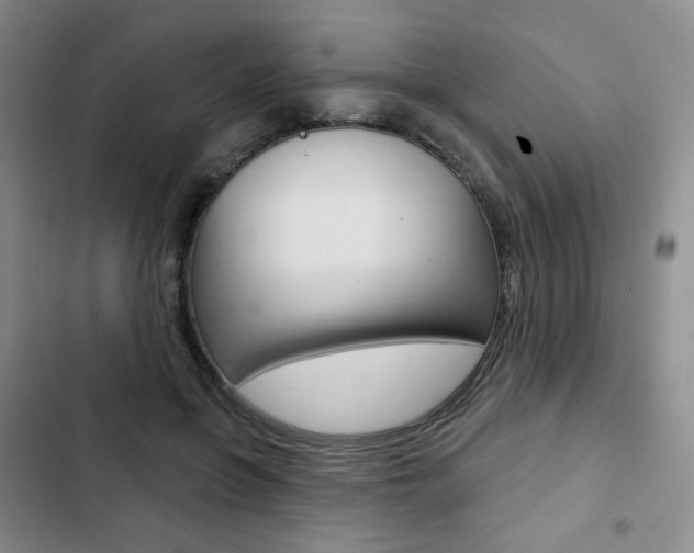 X0000103150551200808221131