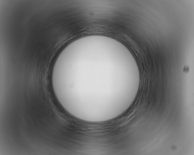 X0000103150552200808221131