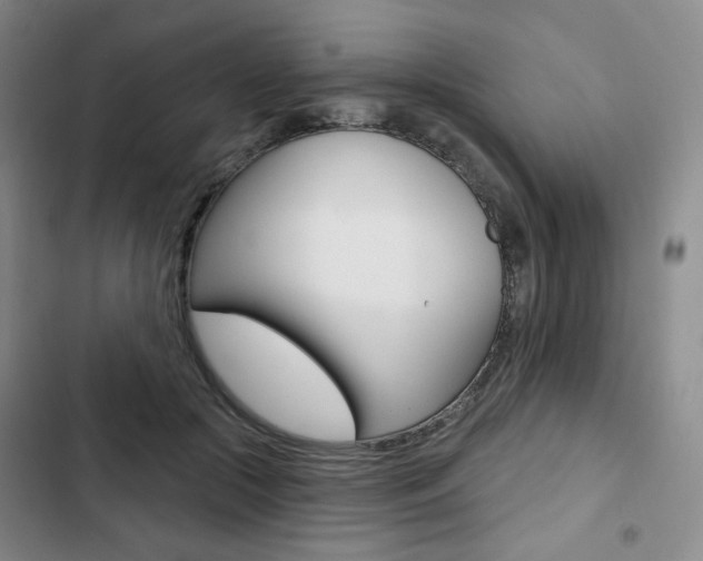X0000103150553200808221131