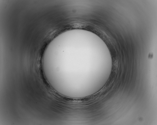 X0000103150554200808221131