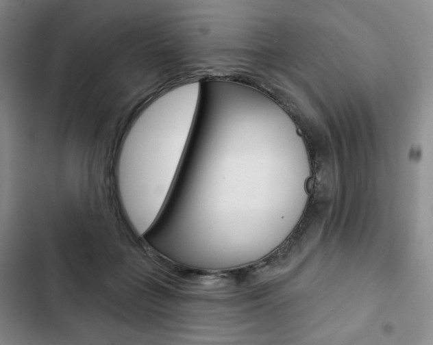 X0000103150555200808221131