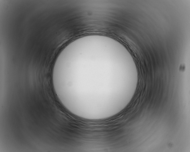 X0000103150556200808221131