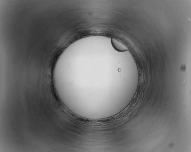 X0000103150557200808221131