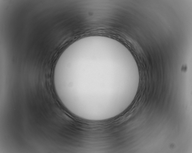 X0000103150558200808221131