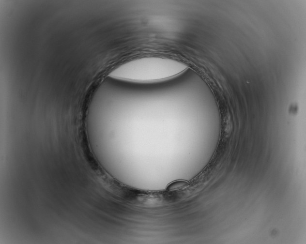 X0000103150559200808221131
