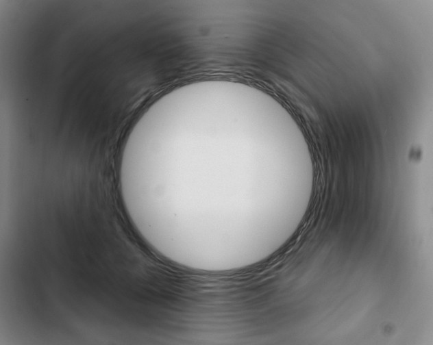 X0000103150560200808221131