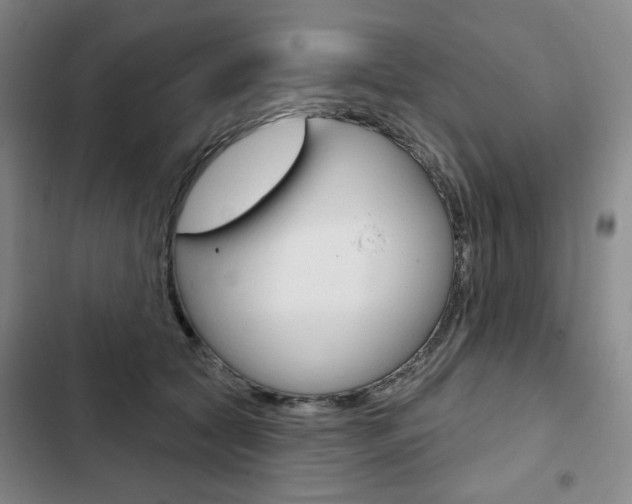 X0000103150561200808221131