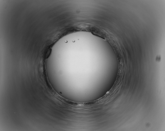 X0000103150562200808221131