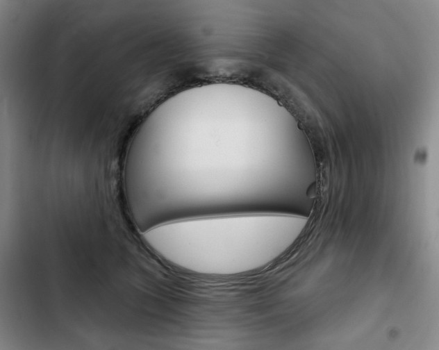 X0000103150563200808221131