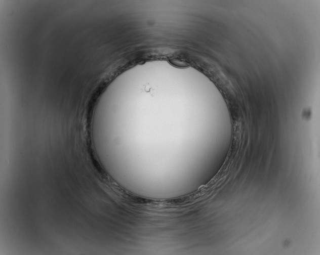 X0000103150564200808221131