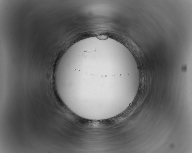 X0000103150565200808221131