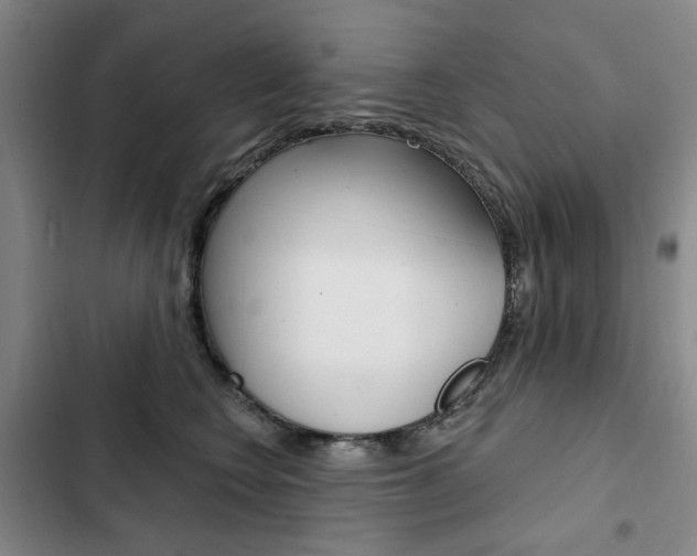 X0000103150566200808221131