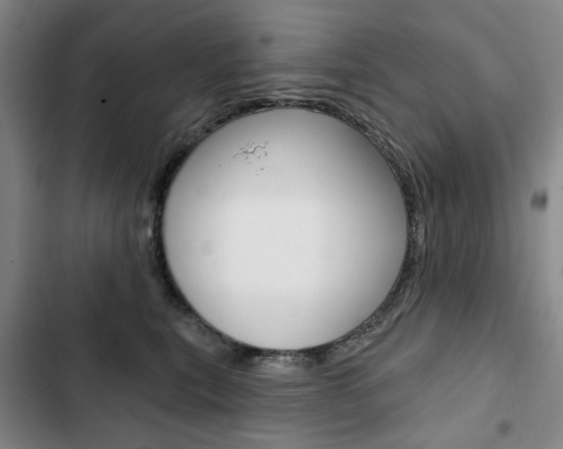 X0000103150567200808221131