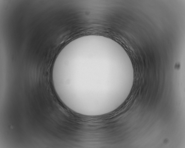 X0000103150568200808221131