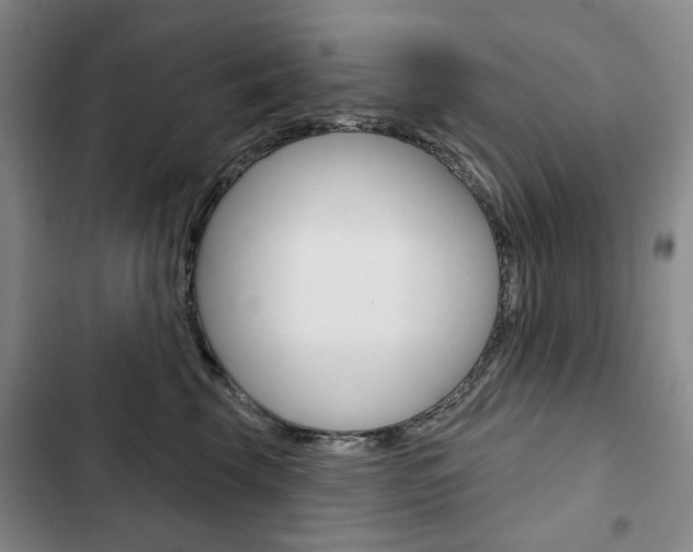 X0000103150569200808221131