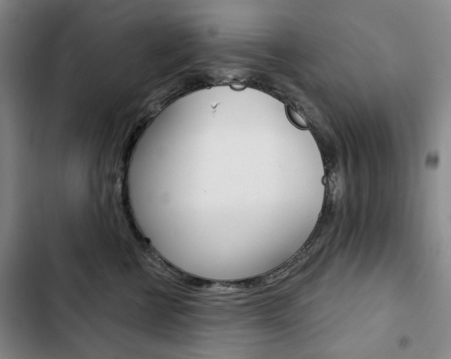 X0000103150570200808221131