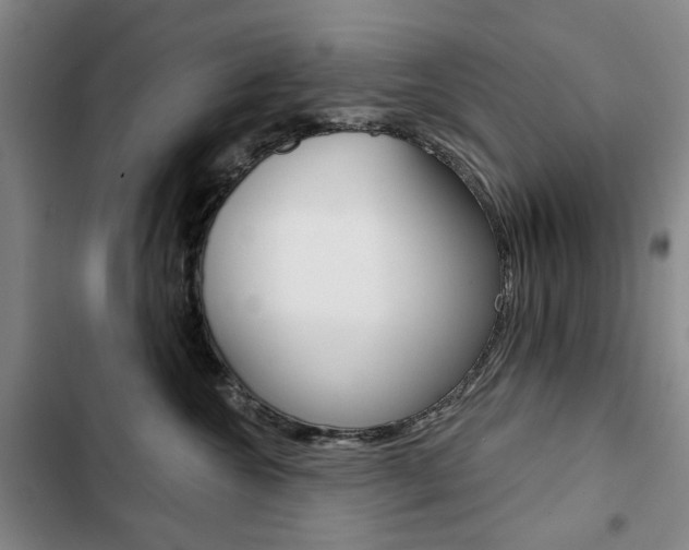 X0000103150572200808221131