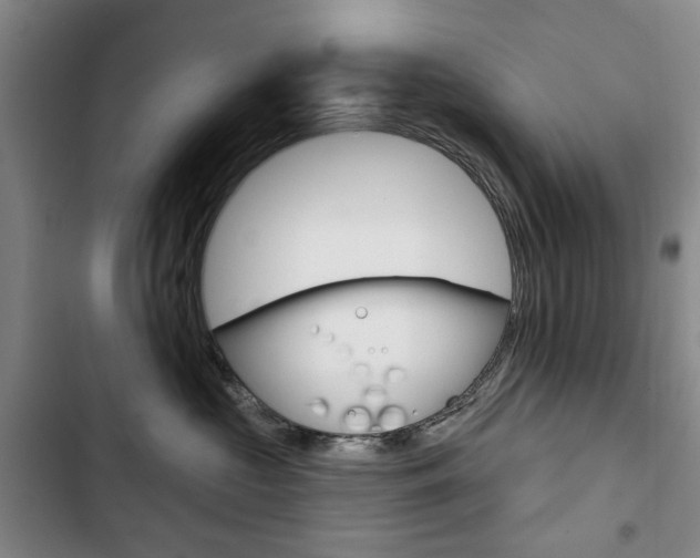 X0000103150573200808221131
