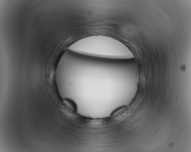 X0000103150574200808221131