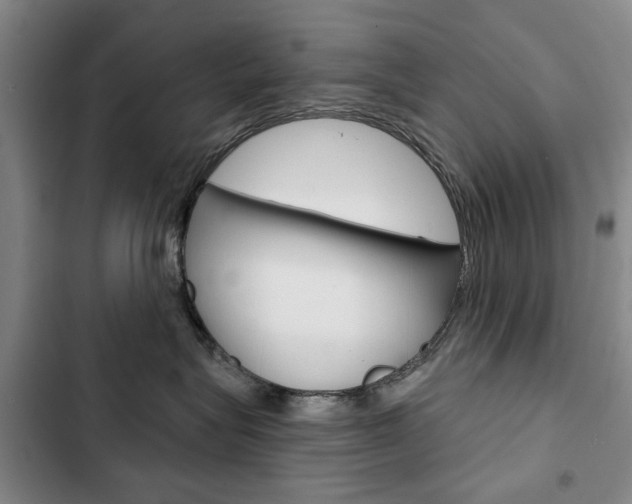 X0000103150575200808221131