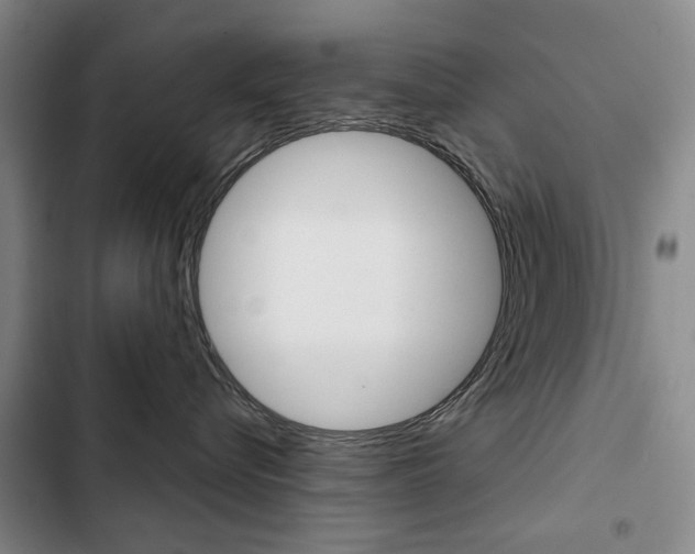 X0000103150576200808221131